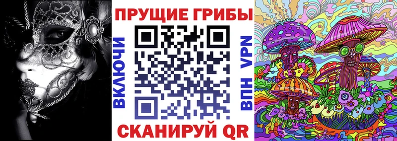Псилоцибиновые грибы GOLDEN TEACHER  Купить где  Рудня 